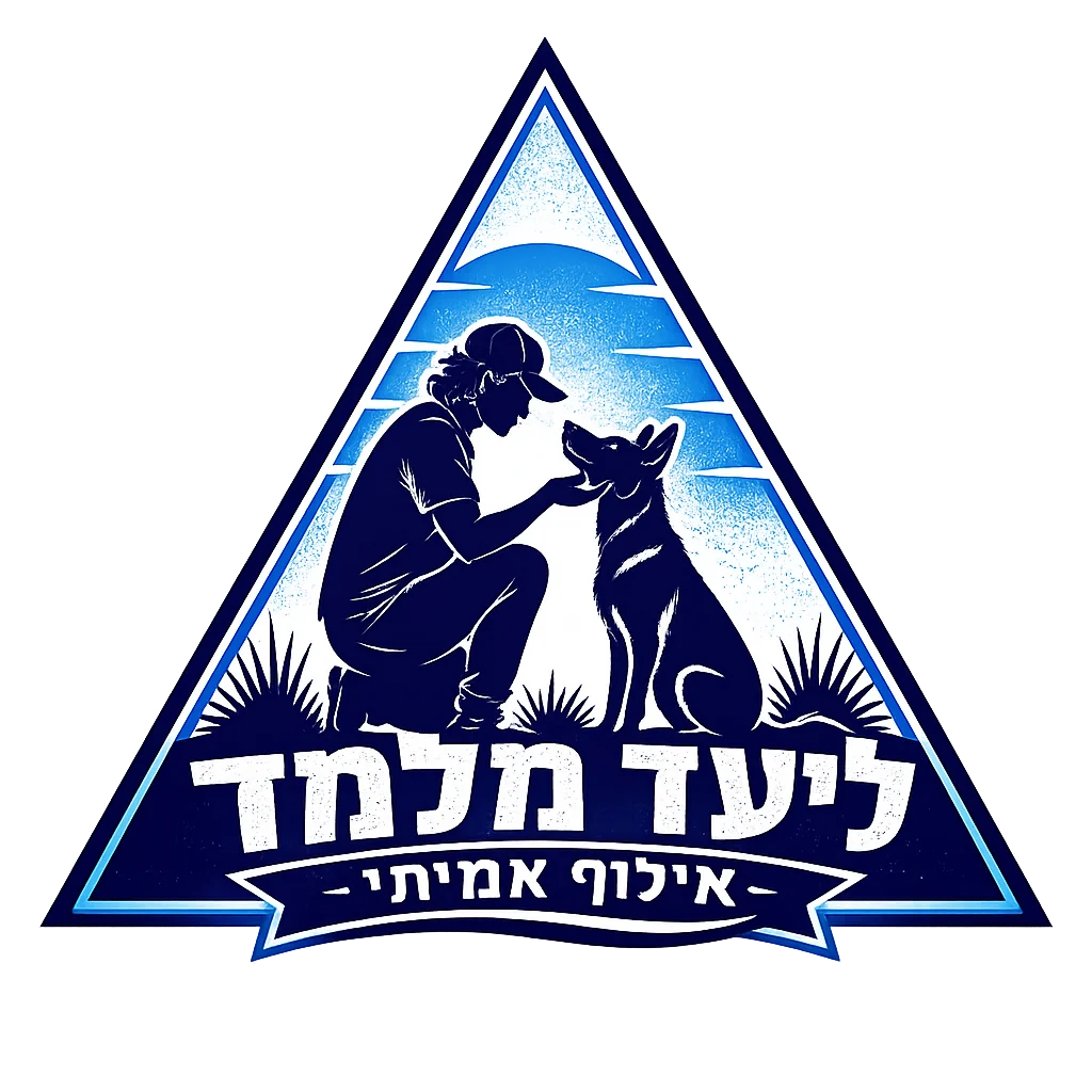 ליעד מלמד